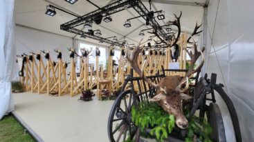 Romsilva exhibition stand by Cool Promotions