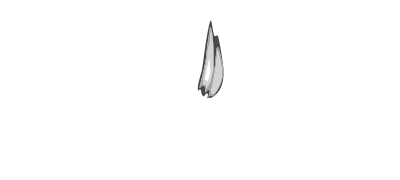 Coolp logo clients fmcg 02 Burn